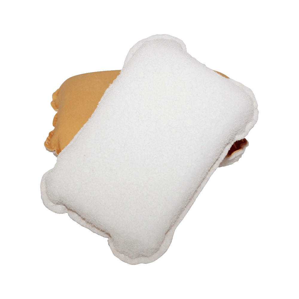 Abrasive Sponge for Removing Insect Residue