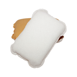 Abrasive Sponge for Removing Insect Residue